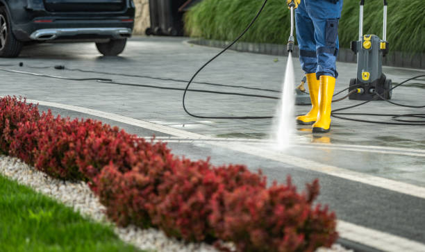 Best Roof Washing  in Jackson, WI